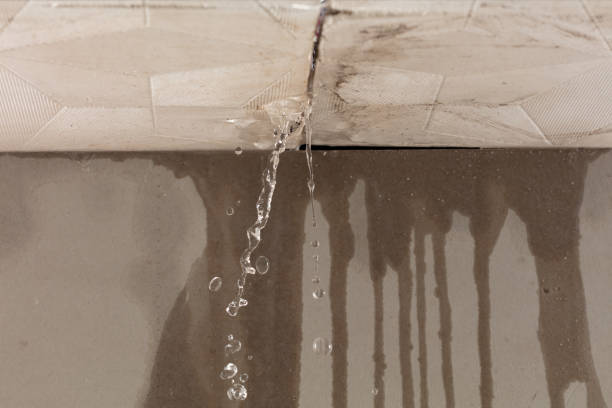 Professional Water Extraction technician working in Bulverde, TX